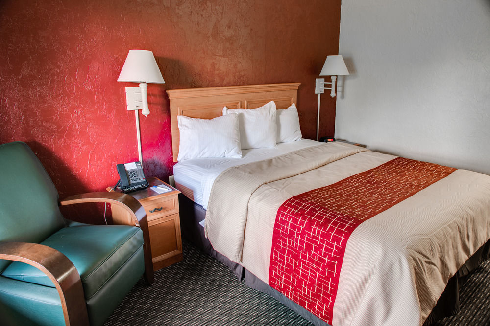 Red Roof Inn Tampa Bay - Сейнт Питърсбърг Екстериор снимка