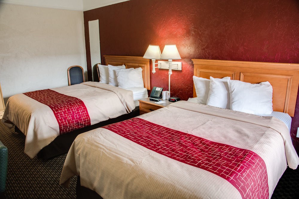 Red Roof Inn Tampa Bay - Сейнт Питърсбърг Екстериор снимка